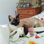 Patricia Bourdon - Facebook