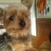 patriciaboutte861 - @patriciaboutte861 - TikTok
