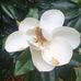 Patricia Box - Facebook