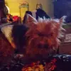 patriciabox6 - @patriciabox6 - TikTok
