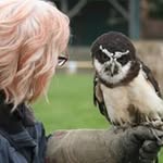 Patricia Broadhead - @patriciabroadhead - Instagram