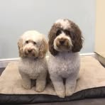 Tricia Broadhead - Facebook