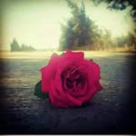 Patricia Brougham - @brougham.patricia - Instagram