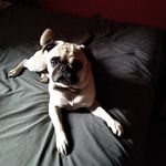 Patricia Buenrostro - @patricia.buenrostro.58 - Instagram