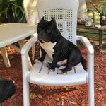 Trickey Braswell Lyon Buffington - @patriciabraswellbuffington - Instagram