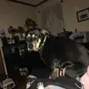 patriciaburrows67 - @patriciaburrows67 - TikTok