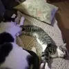 patriciabuzza - @patriciabuzza - TikTok