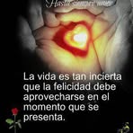 Patricia Casacci - Facebook