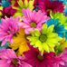 Patricia Catchings - Facebook