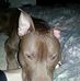 Patti Caughron - Facebook