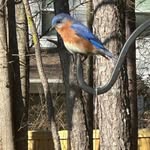 Patricia Cauthen - @cauthen - Instagram