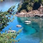 Patricia Celano - Facebook