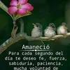 Patricia Celano - @patriciacelano - TikTok
