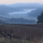 Patricia Green Cellars - @patriciagreencellars - Instagram