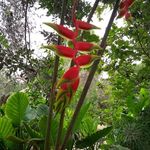 Patricia Cerda - @patricia.cerda.1297 - Instagram