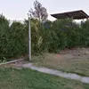 Patricia Cerda - @patriciacerda8 - TikTok
