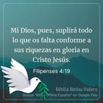 Patricia Cerna - Facebook