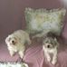 Patricia Chalker - Facebook
