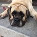 Patricia Burress Chenault - Facebook