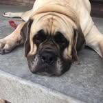 Patricia Burress Chenault - @pattychenault - Instagram