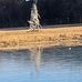 Patricia Chenault - Facebook