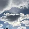 patriciachenault8 - @patriciachenault8 - TikTok