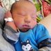 Patricia Chestnut - Facebook