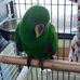 Patricia Claus - Facebook