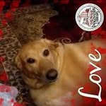 patricia cloud - @cloud5454 - Instagram
