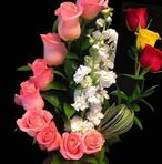 Patricia Coco - Facebook