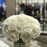 PATRICIA COLLEN - @floreciendoparati - Instagram