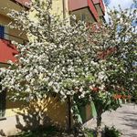 Patricia Congo - @mil.enka12345 - Instagram
