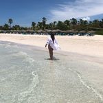 Patrícia Contente - @patricia__contente - Instagram