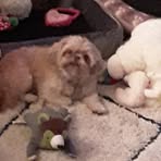 Patricia Copelin - Facebook