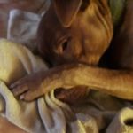 Mónica Patricia Pardiña Corbo - @pardinacorbo - Instagram