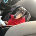Patricia Corbo - Facebook