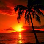 Patricia Corless - Facebook