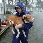 World of angels rescue - @patricia_hub_rescue_corner - Instagram