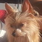 Patricia Correll - @correllpatricia - Instagram