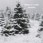 Patricia Cottingham Reynolds - @patricia.reynolds.927 - Instagram