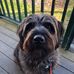 Patricia Cottrell - Facebook