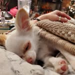 Patricia Cottrill - @pushingpillstopaythebills - Instagram