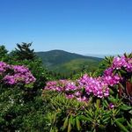 Patricia Spangler Creech - @sewwhat524 - Instagram