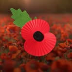 Patricia Croucher - Facebook
