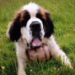 patricia culbert - @messymoo2 - Instagram