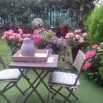 Patricia Darras - @patricia.darras.56 - Instagram