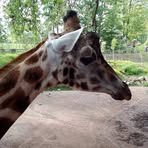 Patricia Decamp - Facebook