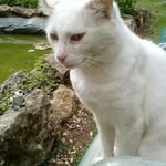 Patricia Decamp - @patricia.prunier.1 - Instagram