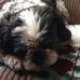Patricia DeSantis - Facebook