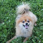 Patricia DeVault - Facebook